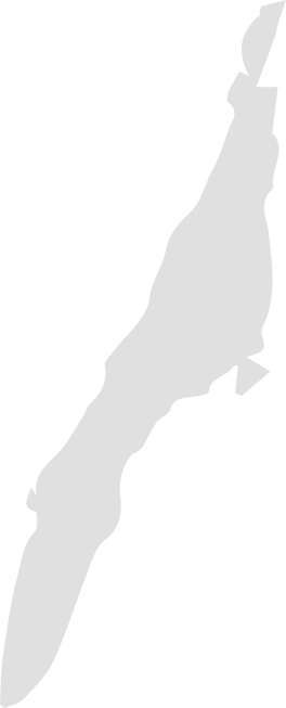 Background Shape